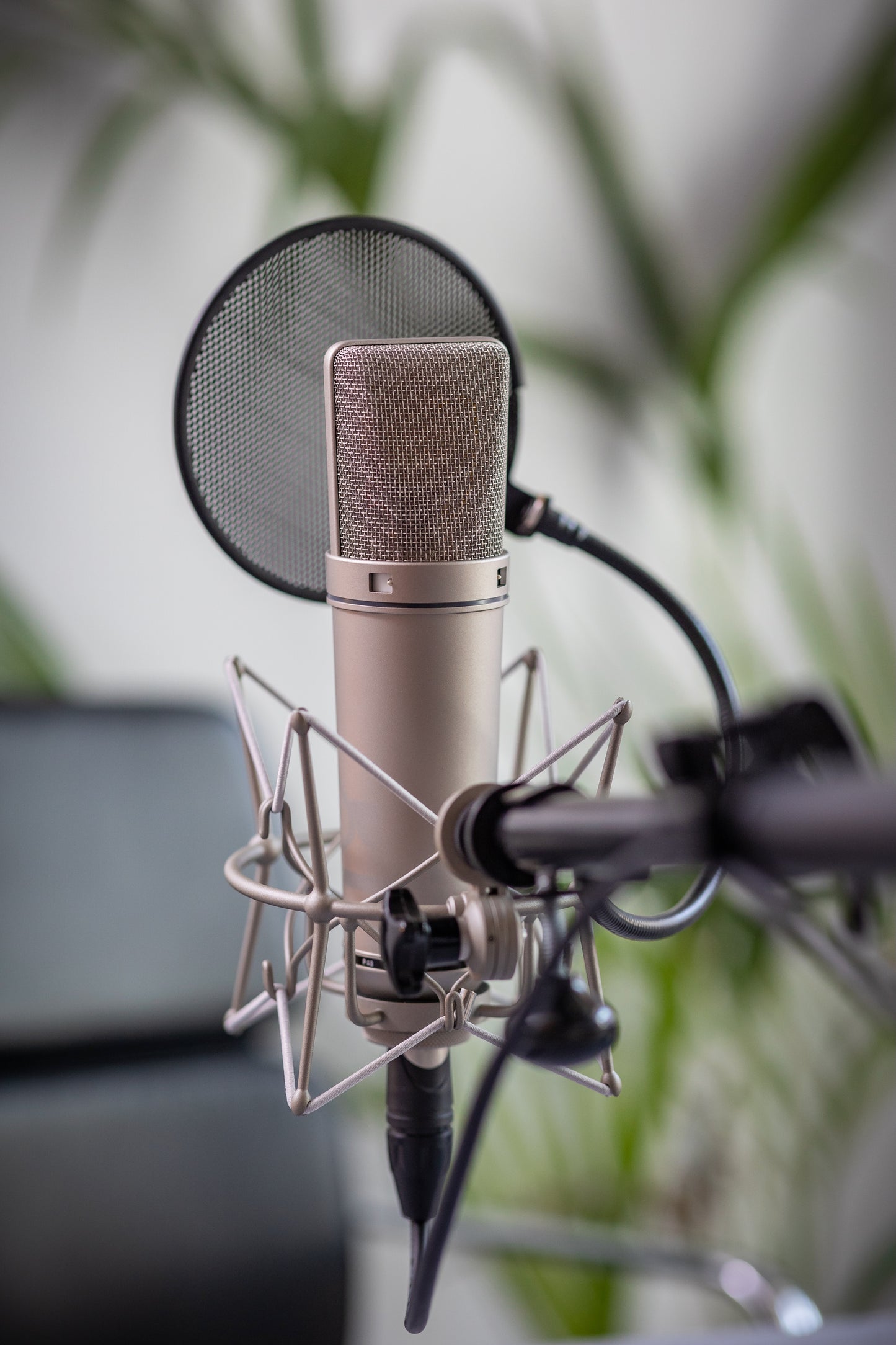 VO Recording - With Engineer
