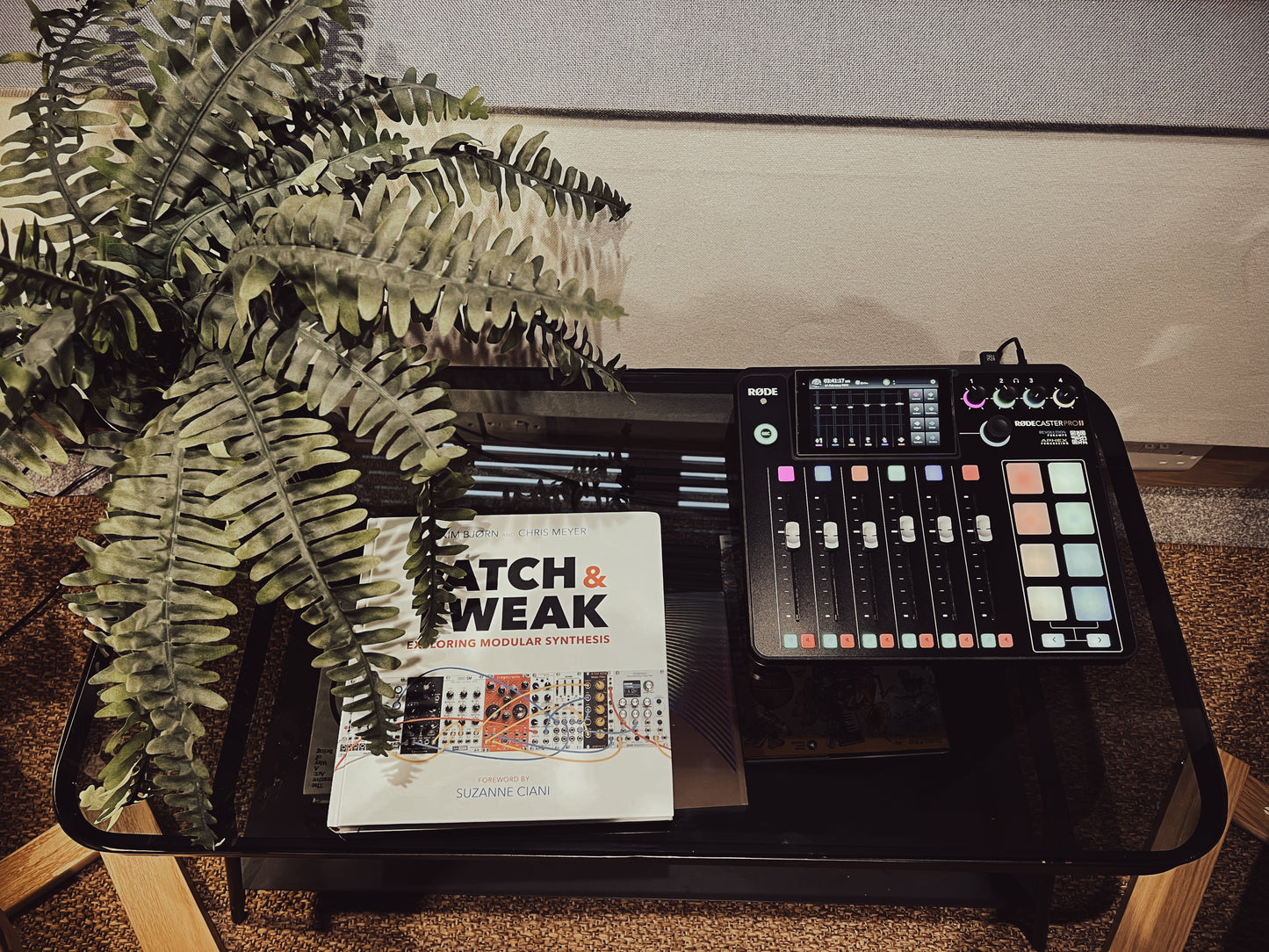 Podcast Recording - Self Record
